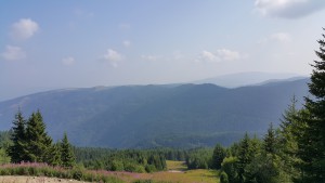 Rila 2016